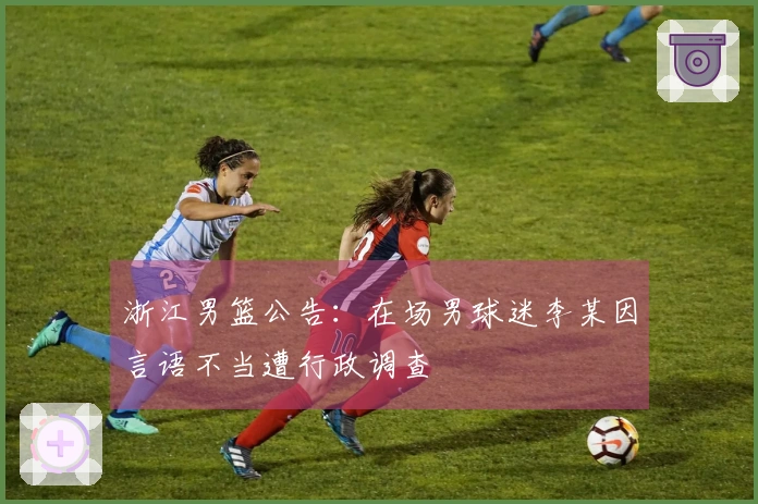 浙江男篮公告：在场男球迷李某因言语不当遭行政调查