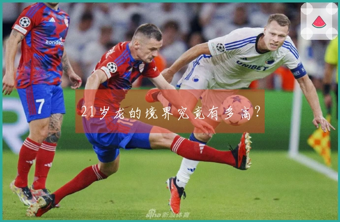 21岁龙的境界究竟有多高？