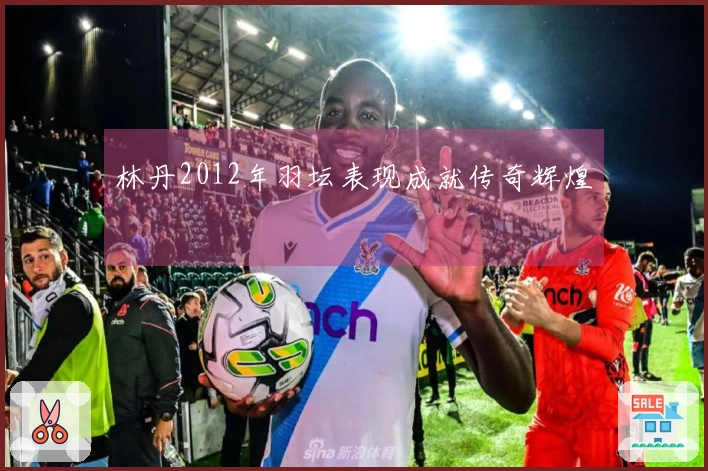 林丹2012年羽坛表现成就传奇辉煌