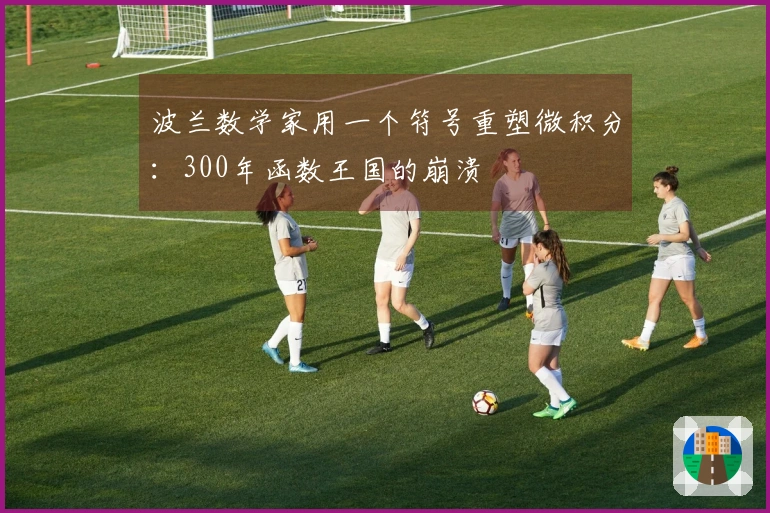波兰数学家用一个符号重塑微积分：300年函数王国的崩溃